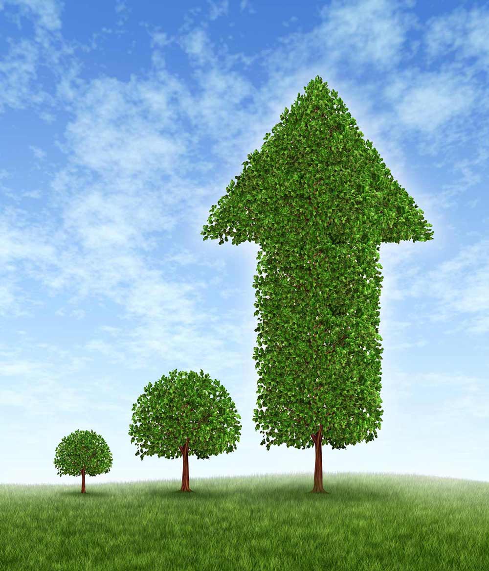 Venture Capital Growth Image